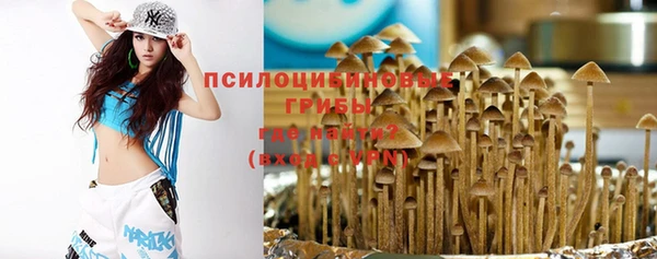 крисы Куйбышев